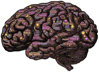 cerebro
