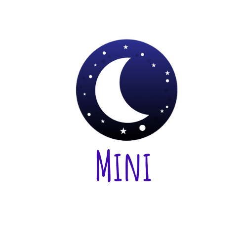 shorts mini