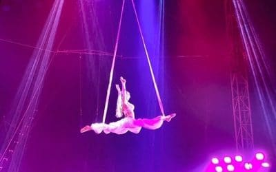 Volar en y con tus sueños ¿Como crear mi acto de pole, danza ó circo? Por:  Adriana Paniagua